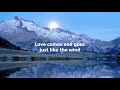 I Wouldn't Have Missed It For The World by Ronnie Milsap - 1981 (with lyrics)