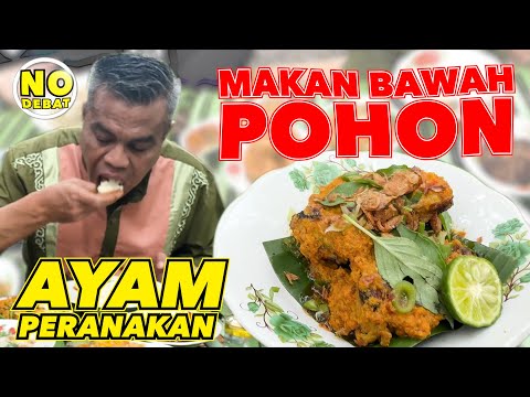 KULIDEL MAKAN BAWAH POHON - AYAM PERANAKAN BUMBUNYA MERESAP SAMPE KE DALAM