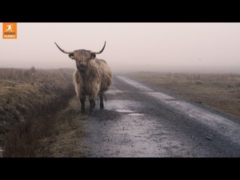 5 reasons you need to visit Islay