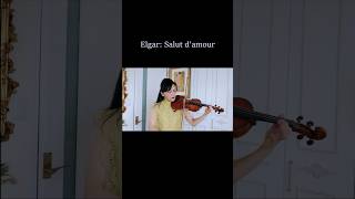 Download lagu Elgar: Salut d'amour エルガー「愛の挨拶」#shorts #violin #salutdamour #elgar #バイオリン #愛の挨拶 #エルガー mp3