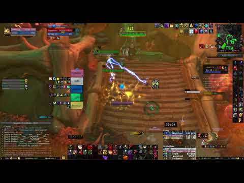 Shadowlands 9.1.5 Plaguefall +23 Protection Paladin