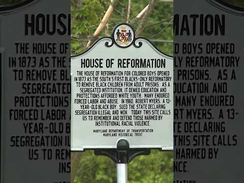 Deaths of nearly 300 Black teens to be investigated
