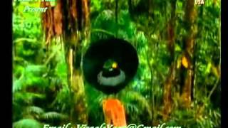 THE MOST BEAUTIFUL NAAT IN THE WORLD,Great Arabic Urdu Naat..Balaghal Ula Bekmalehi....