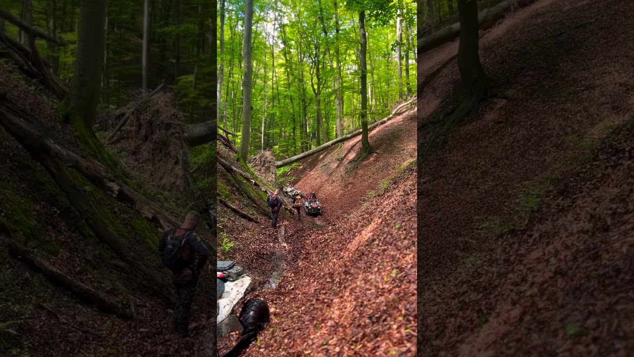 Wild Legends Video 3