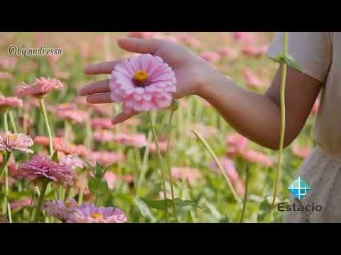 Violência contra mulher - atividade acadêmica, produção de campanha publicitária