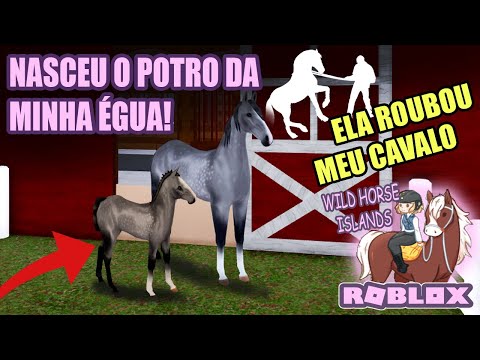 CRIEI MEU POTRO E ROUBARAM MEU CAVALO SELVAGEM - wild horse islands ROBLOX