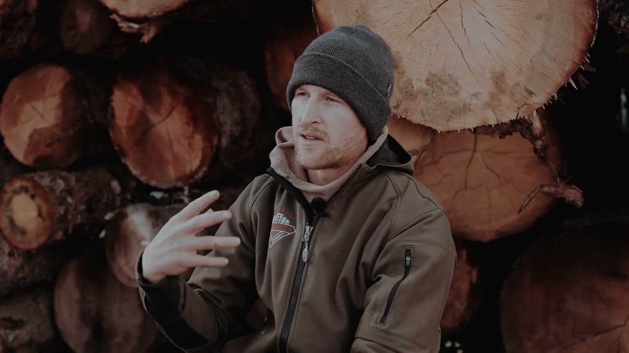 Beetle Kill Tree Guys Introduction