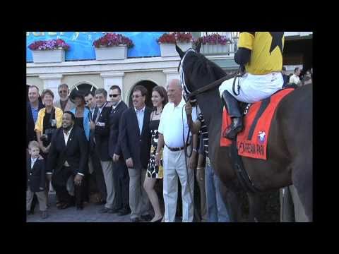 Thoroughbred Syndicates Own a Racehorse with the Gold Standard in Racing Partnerships