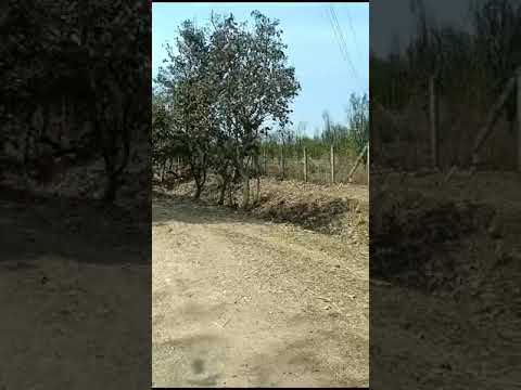  Agricultural Land 11 Acre for Sale in Amravati Road, Nagpur