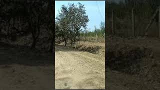  Agricultural Land for Sale in Amravati Road, Nagpur