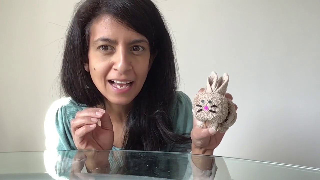 Make Your Own Bunny Rabbit With Author Konnie Huq Hccbathome book