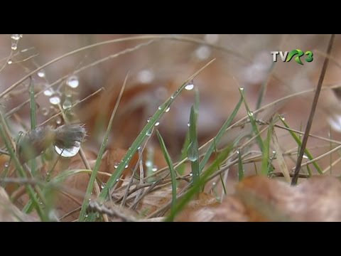 LA PAS PRIN OLTENIA   PROMO MUNTII MEHEDINTI