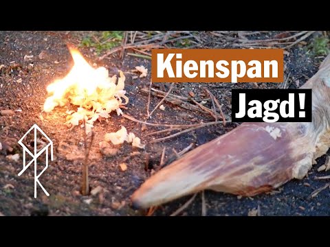 Kienspan Jagd | 3 Möglichkeiten den beliebten Zunder zu finden! | Bushcraft Survival Urviech