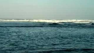 preview picture of video 'Surf at Haena State Park, Kaua'i, HI'