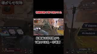 【V最協APEX】特級呪物に取り憑かれためーぷるなっつばにーだよ【渋谷ハル切り抜き】