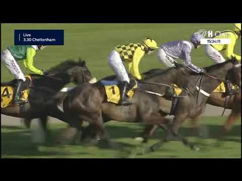 Gold Cup - Grade 1 2020