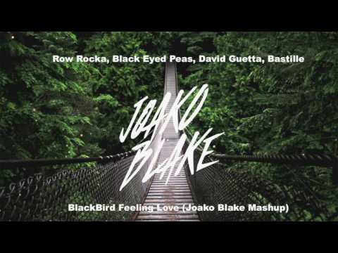 Row Rocka, B E P, David Guetta, Bastille - BlackBird Feeling Love (Joako Blake Mashup)
