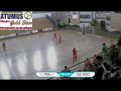 FEA x São Gabriel Futsal - Liga Sul-mato-grossense 2021