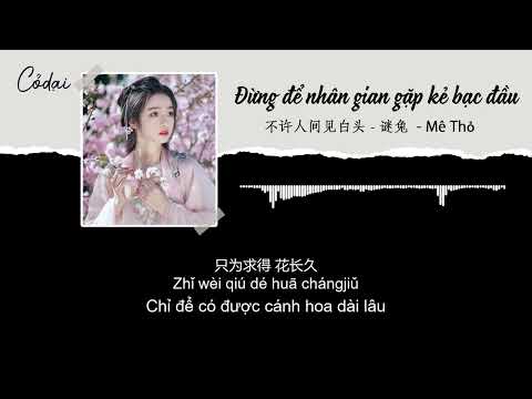 [Vietsub + Pinyin] Đừng để nhân gian gặp kẻ bạc đầu- Mê Thỏ / 不许人间viewwhite头 - 尜兔