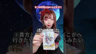 【タロット占い】今この瞬間のあの人の気持ち
