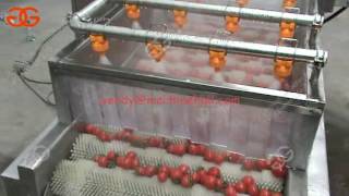 Multifunction Air Bubble fruit vegetable Washing Machine|Tomato washing machine