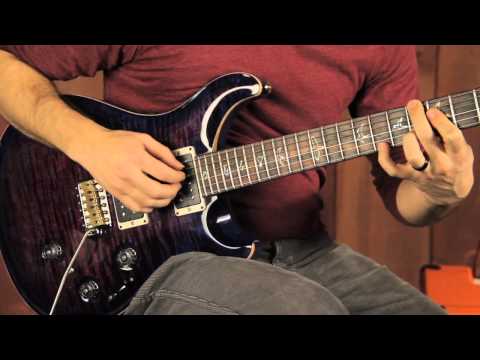 PRS Wood Library P24 Trem Limited Run