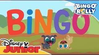 Bingo y Rolly: Canciones Infantiles - Bingo | Disney Junior Oficial