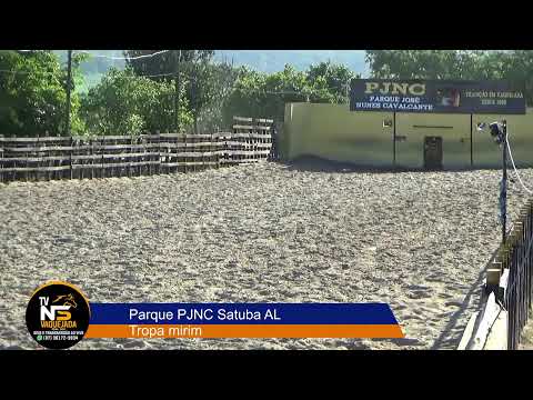 Vaquejada AO VIVO | Parque  PJNC  Satuba  AL