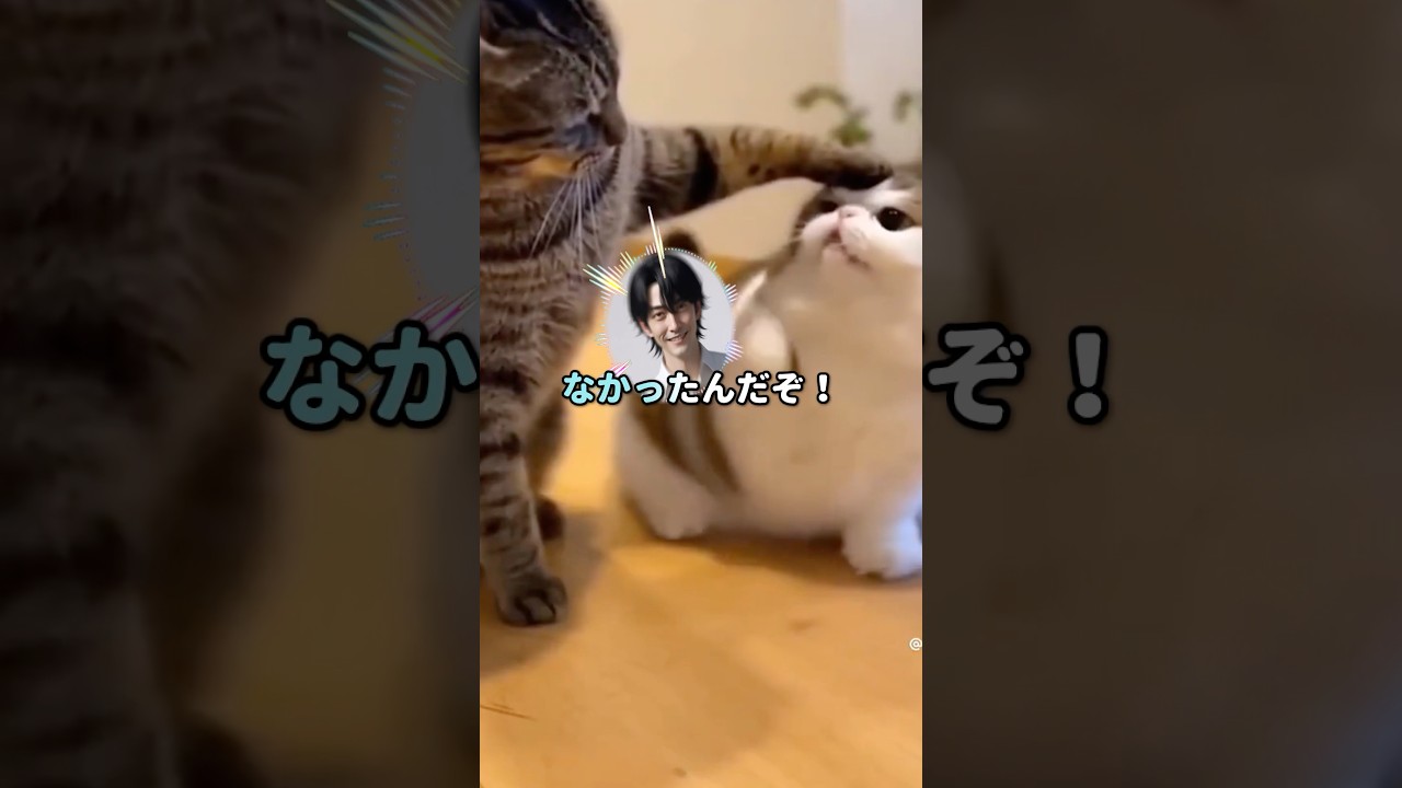 【スカッと】「朝食無料！？」驚いた高山先生は思わぬ行動に出て…ｗ