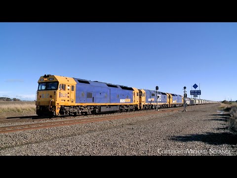 7736V Pacific National Grain Train With  BL31 8175 G527 & WGBY/WBSY Hoppers (26/7/2024) - PoathTV