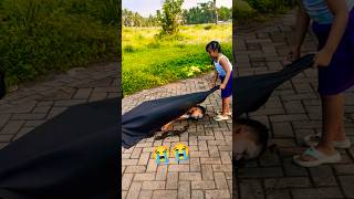 Download lagu EFEK SAKIT PERUT 😭😭 mp3 Download lagu EFEK SAKIT PERUT 😭😭 mp3