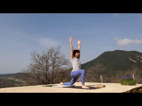 Secuencia de la Luna "Chandra Krama" (Versión simplificada)