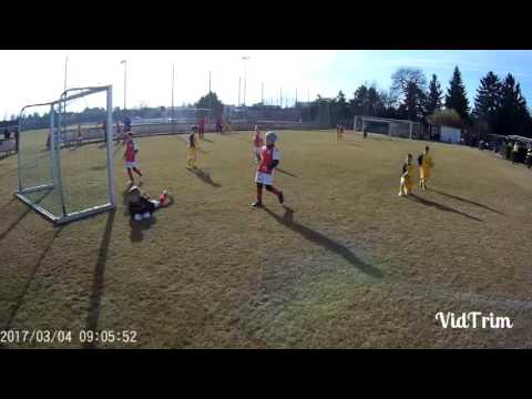 Admira Technopool U8 vs Wiener Neustadt Highlights
