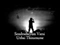 Maya Visai Whatsapp Status