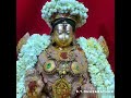 HQ AMMAN 12 SONGS Tamil Devotional Song Dasarathanpt Gmail Com