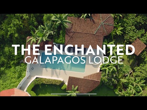 Hidden Gem Hotel in the Peaceful Highlands of Santa Cruz Island 🌴 Enchanted Galapagos Lodge 🛏️