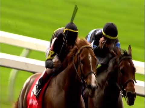 CHRHF18 Judy the Beauty