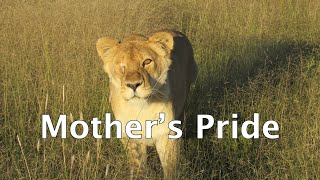 Mother&#39;s Pride
