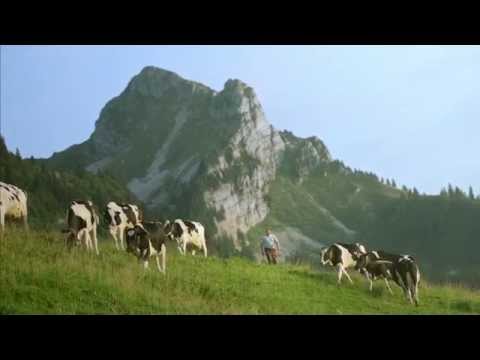 Cailler Chocolate: Made with Fresh Milk | Nestlé