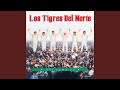 Te Soñe Conmigo
