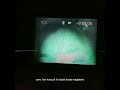 Homebdy DEMI Madman Stan Official Lyric Visualizer