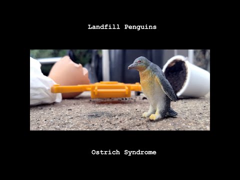 Good Luck Corn - Ostrich Syndrome