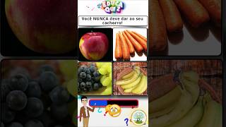 Quiz rápido: qual desses alimentos você NUNCA deve dar ao seu cachorro?