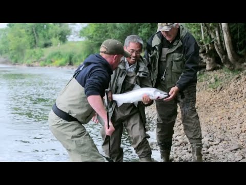 United Kingdom: Ireland Part I Season 9 Ep 7 Trailer | Asian Air Safari