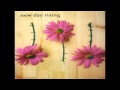 new day rising-property culture - edchenone new day rising-property culture