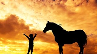 8 Hour Relaxing Sleep Music: Dream Music, Delta Waves, Sleeping Music, Sleep Hypnosis ☯607