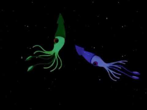 A squid animated music video.