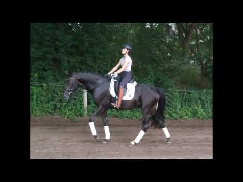 FEUERWERK 4j. v. For Romance - Swagman (Sandro Hit - Don Schufro)