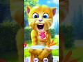 Talking Ginger Cat Eating Funny shorts Video 🌶️🍠🧀🍇🍋🥑🍅🍆🍉🥐🥖🍍 #talkingginger #cat
