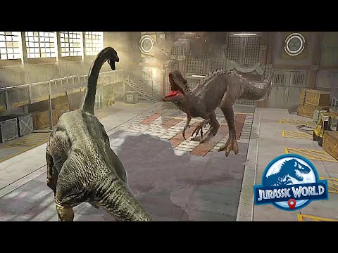 THE GIANT HYBRID DINOSAUR INDOMINUS REX VS BRACHIOSAURUS - BATTLE || JURASSIC WORLD ALIVE